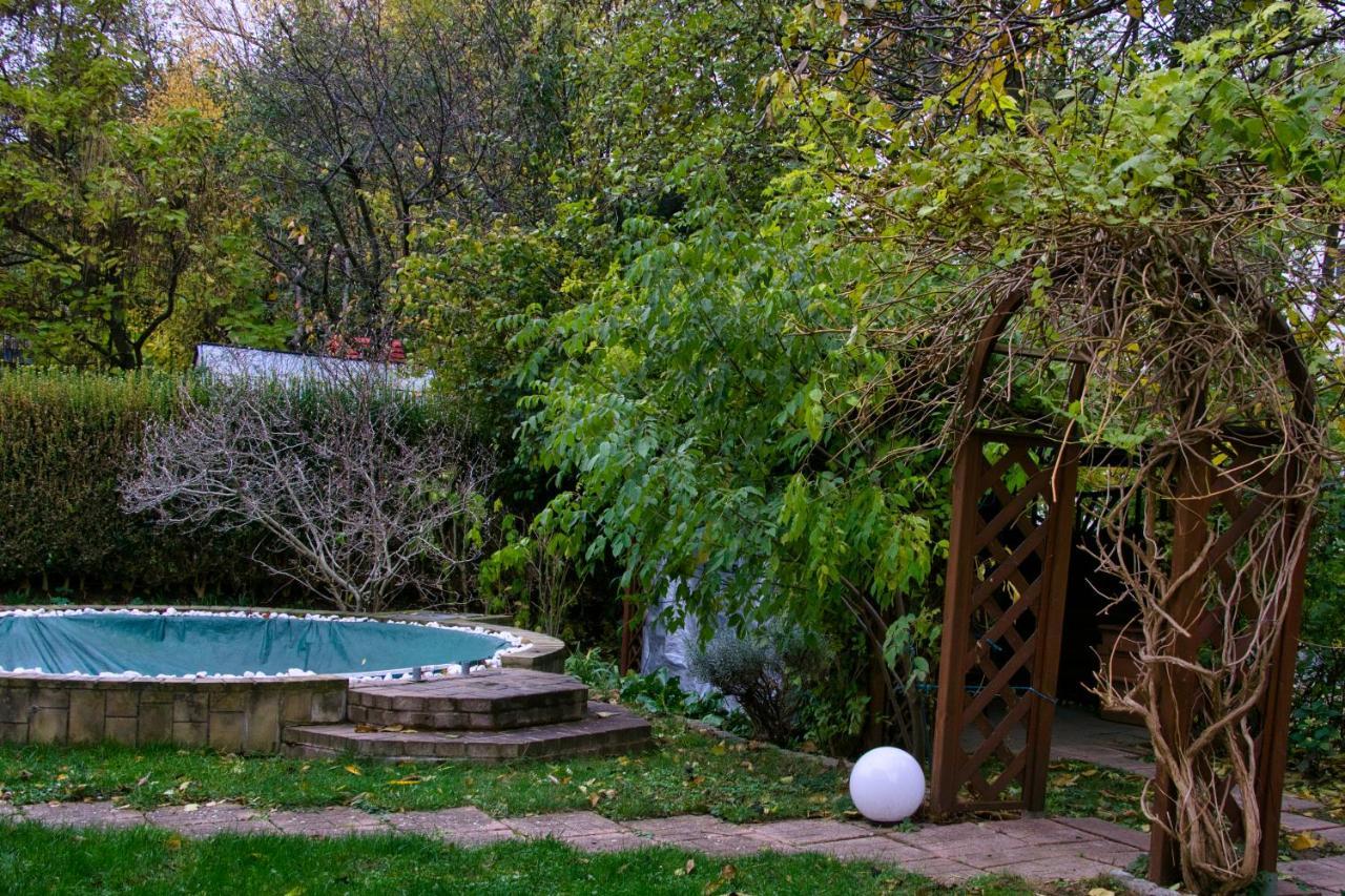 Mycozyplace - Zwei Gemuetliche Zimmer Fuer Vier Dresde Exterior foto