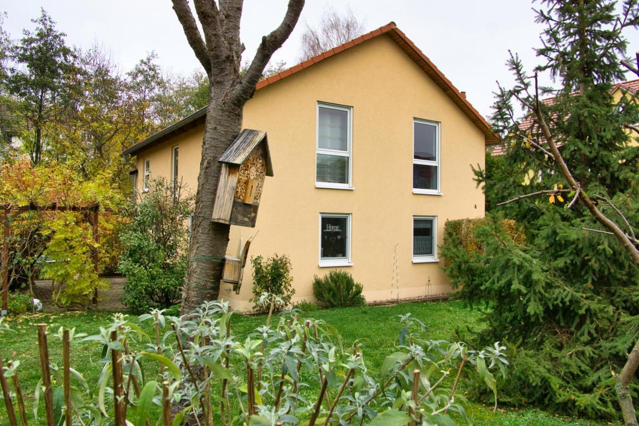 Mycozyplace - Zwei Gemuetliche Zimmer Fuer Vier Dresde Exterior foto